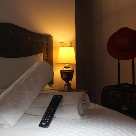Velvet Hotel Centro Historico 圣安娜 外观 照片
