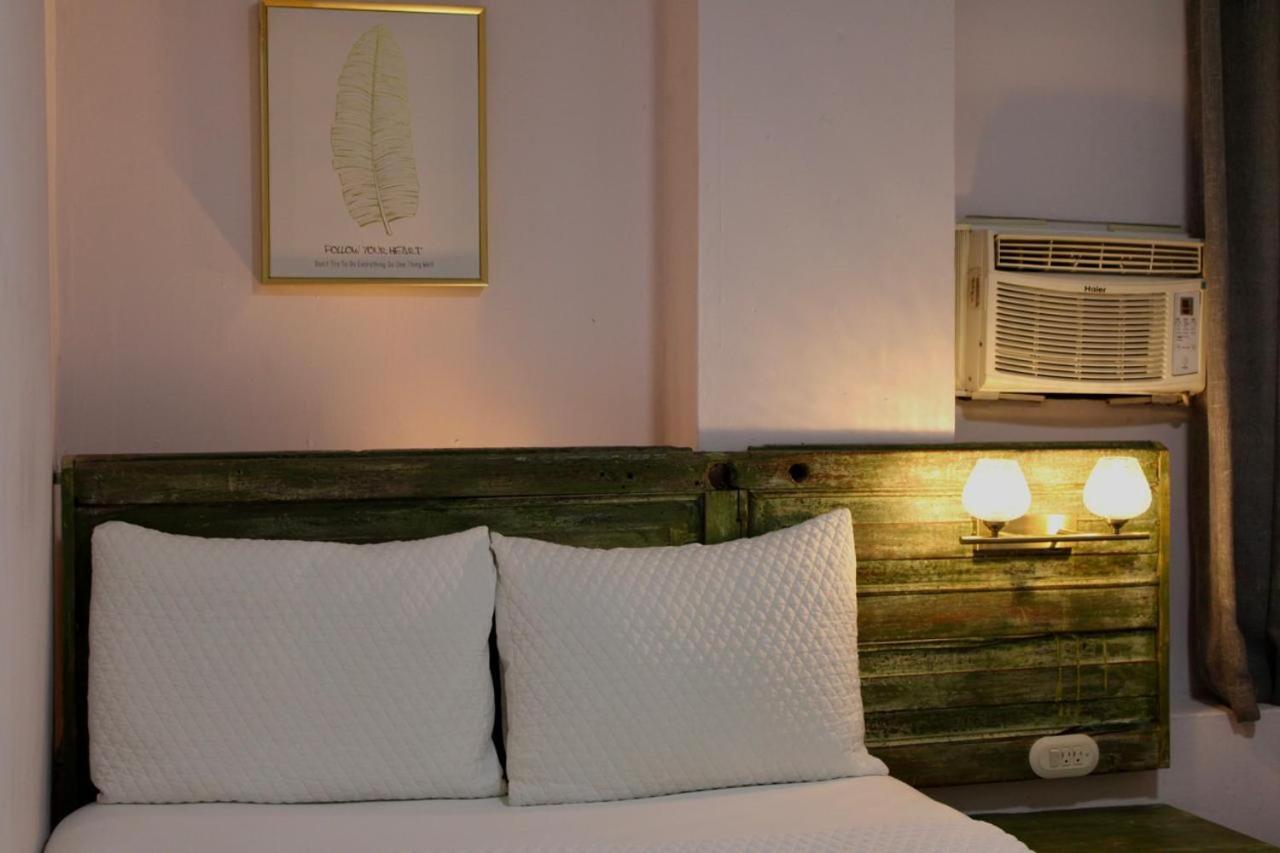 Velvet Hotel Centro Historico 圣安娜 外观 照片